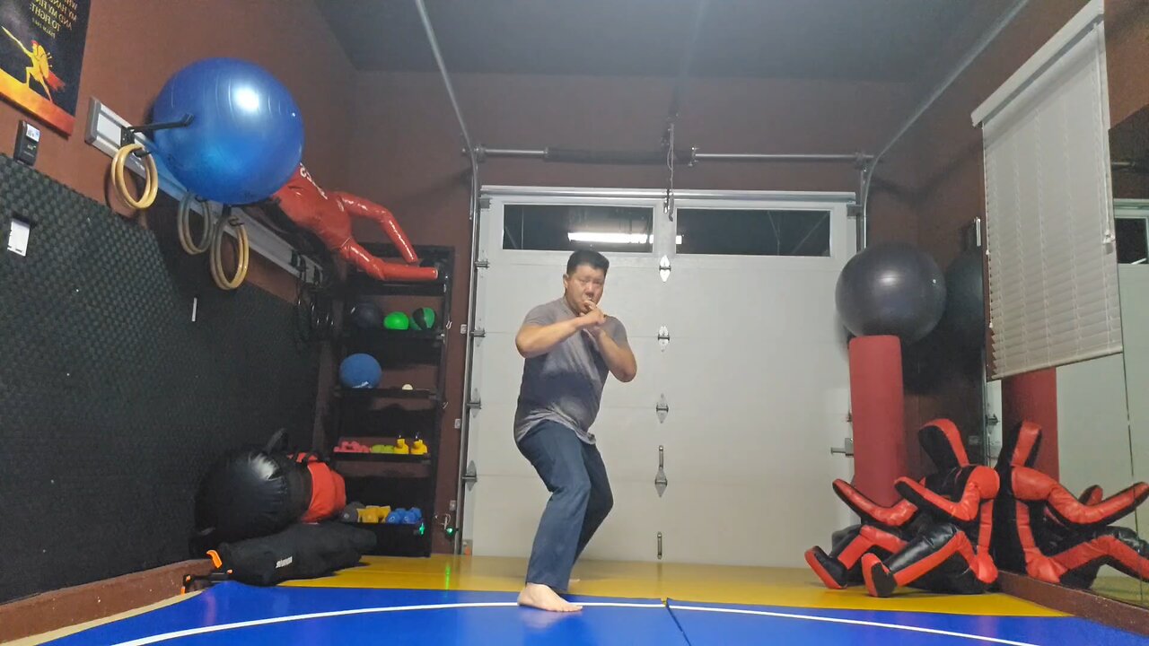 WTD 2 Step Kick Combination 184