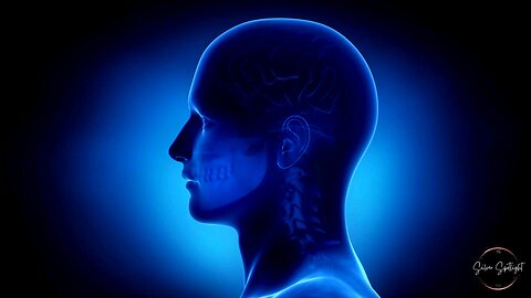 NATURAL BRAIN BOOSTER FURIT