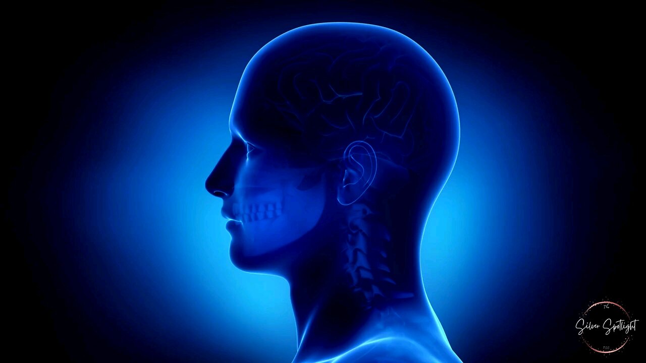 NATURAL BRAIN BOOSTER FURIT