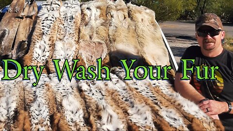 How to dry wash your fur. Super easy and inexpensive