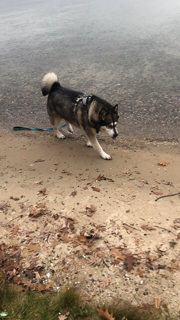 Saturday, November 22, Trust in the Lord.