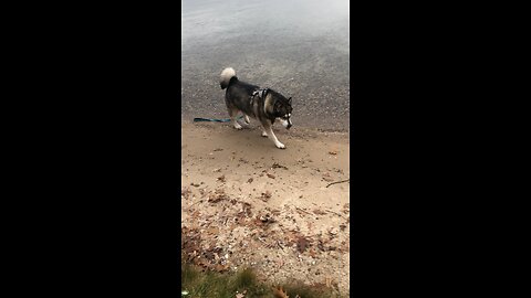 Saturday, November 22, Trust in the Lord.