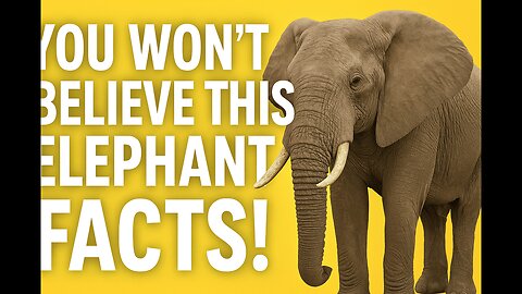 You won't believe this Elephant Facts!