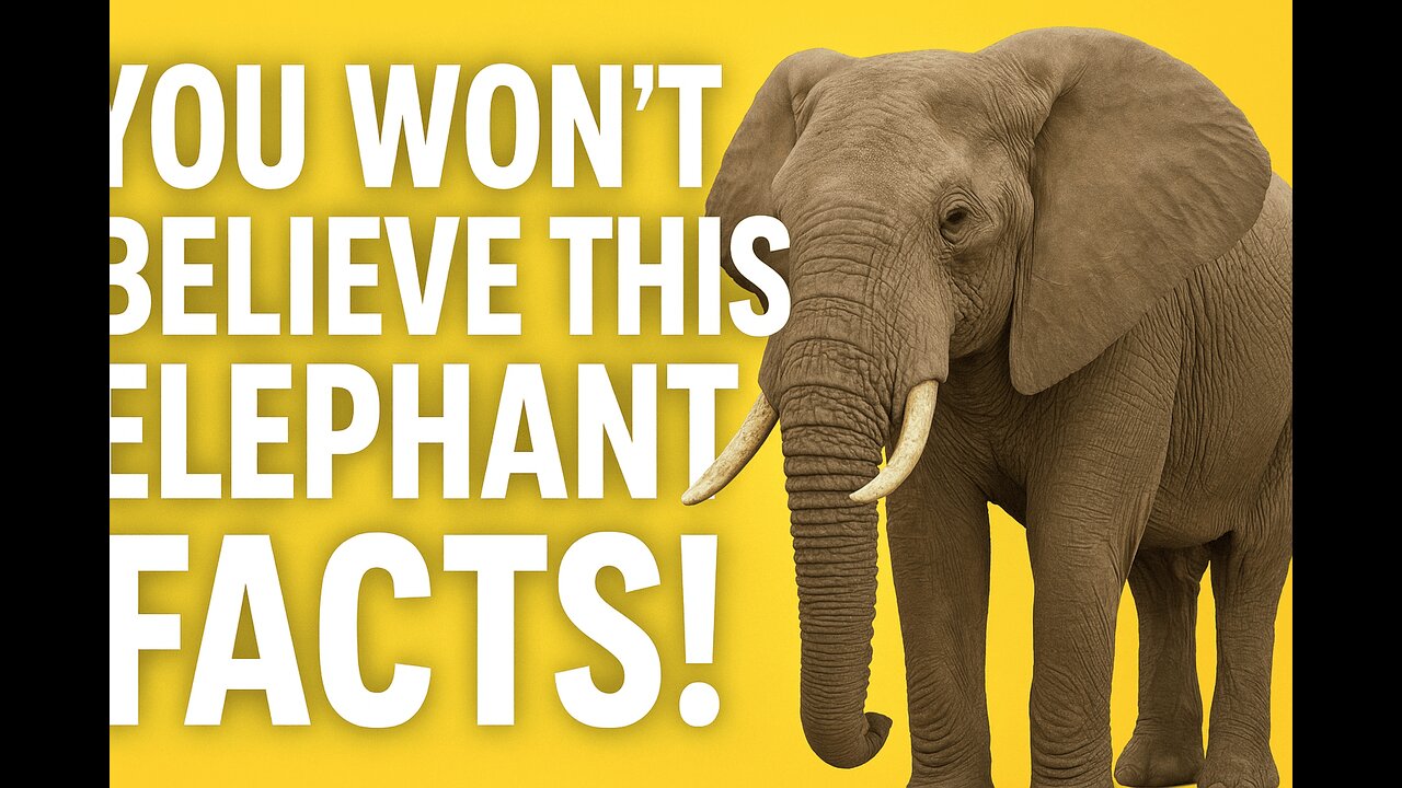 You won't believe this Elephant Facts!