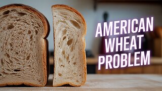 The Gluten Problem Nobody's Talking About