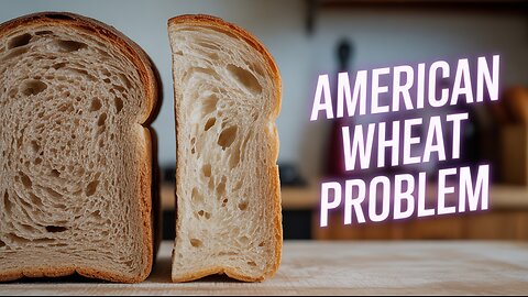 The Gluten Problem Nobody's Talking About