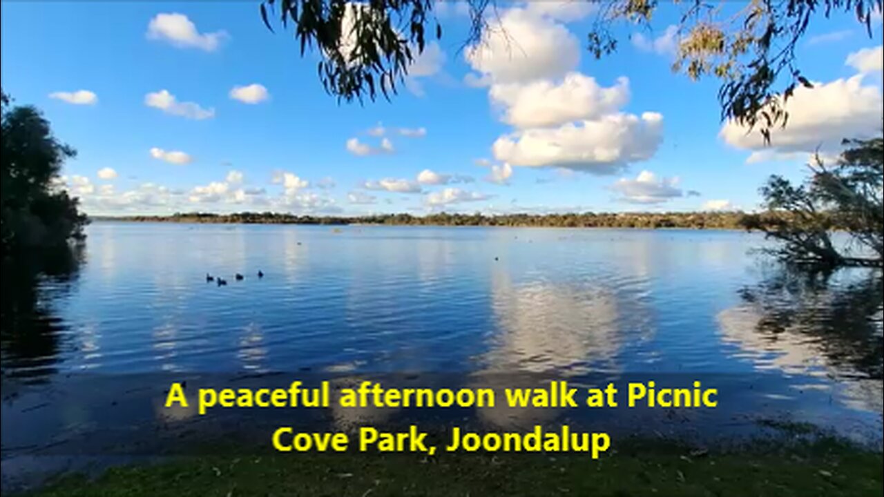 A peaceful afternoon walk at Picnic Cove Park, Perth, Australia