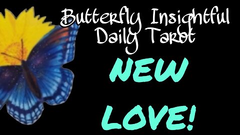 Butterfly Insightful Daily Tarot - New Love! Partner, pet or child! Exciting times!