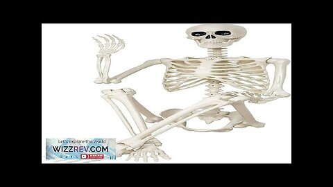 Halloween Skeleton Decorations36" Posable Human Skeleton Decorations for Halloween Party Review