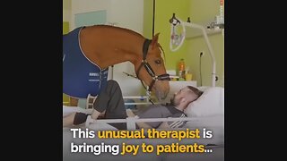 Horse that give joy to sick people