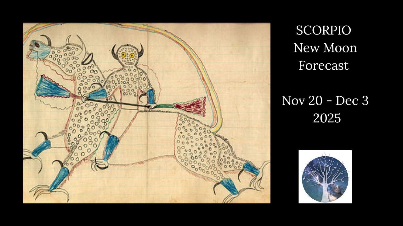 SCORPIO New Moon - Catalyst NEW MOON Forecast - Nov 20 to Dec 3, 2025