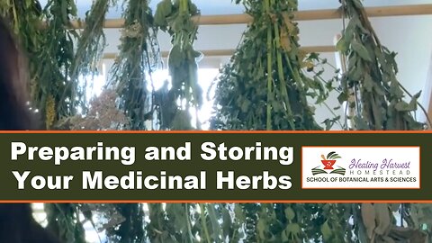 Preparing and Storing Your Medicinal Herbs from the Garden...Culinary Too.