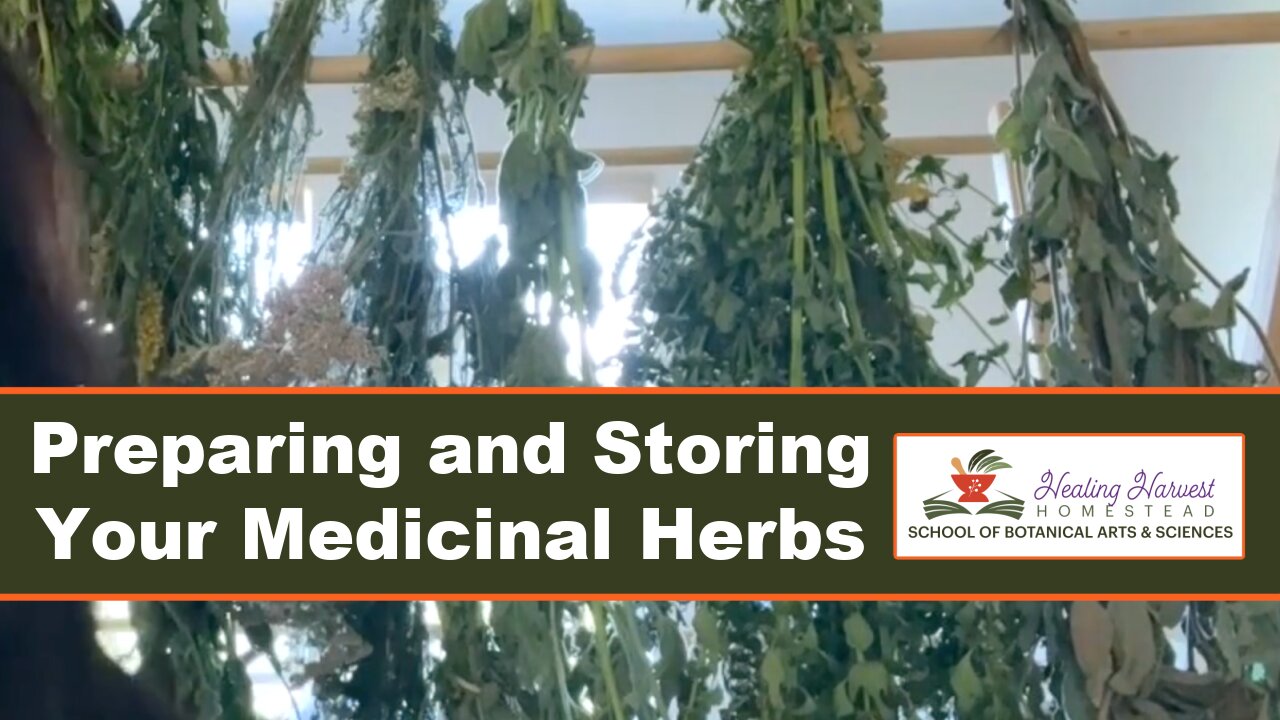 Preparing and Storing Your Medicinal Herbs from the Garden...Culinary Too.