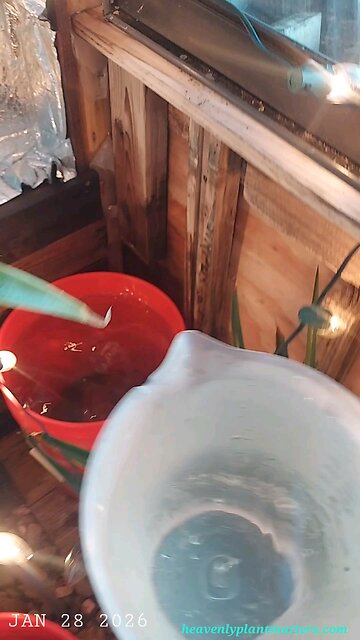 Utilizing the Snow Water!