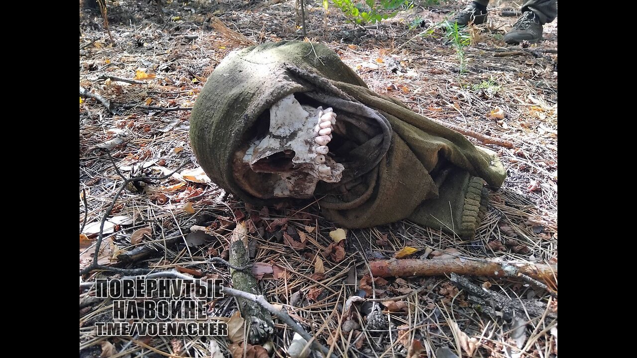 Война в Украине часть 457