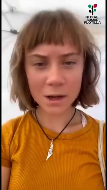 A message from the Mentally Ill Greta Thunberg (and another Swede)