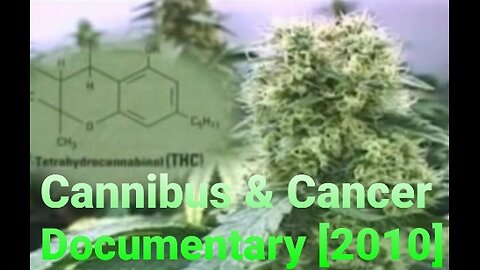 What If Cannabis Cured Cancer? (2010)