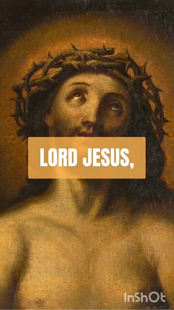 LORD JESUS I PLACE THIS DAY IN YOUR HANDS PURIFY MY INTENTIONS #truth #jesus #christ #king #mary