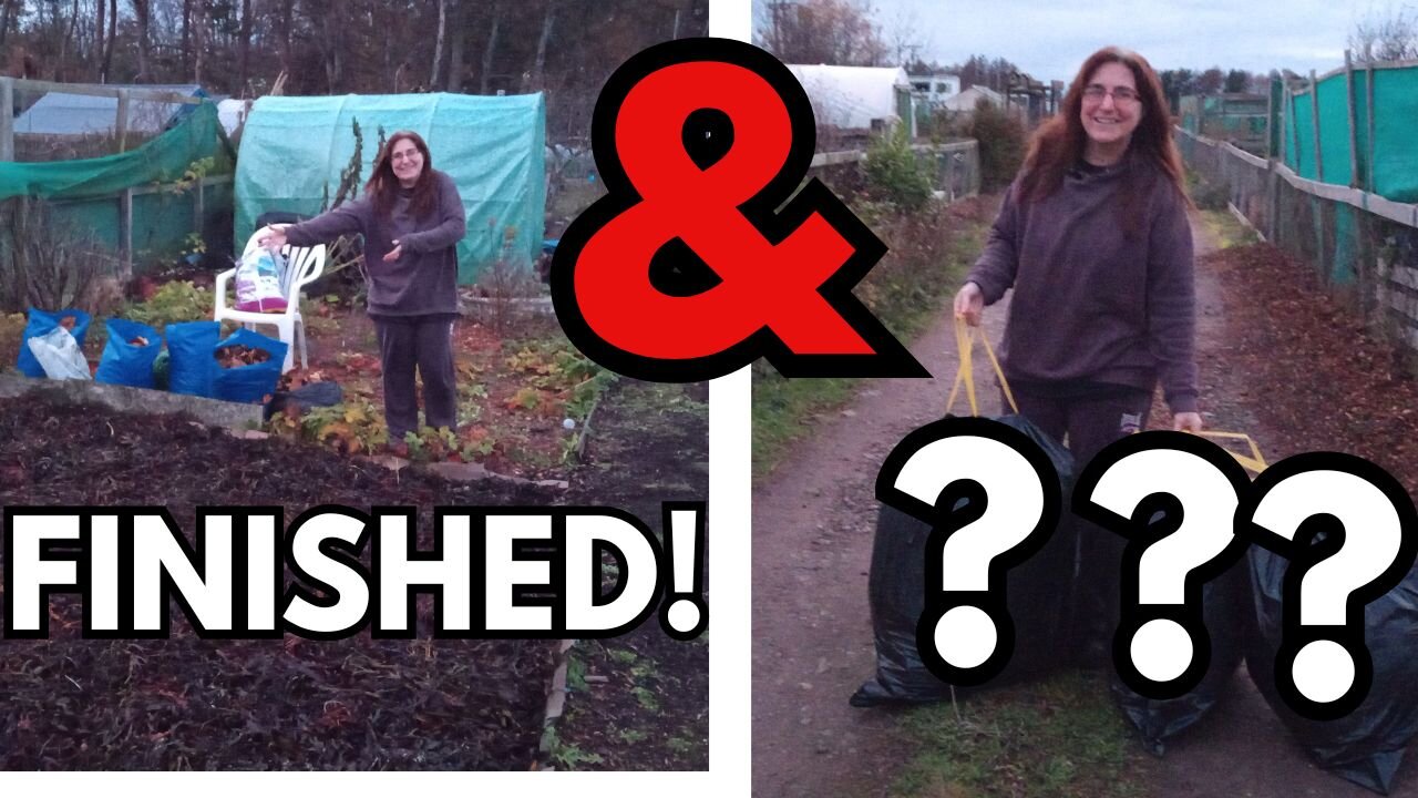 One No-Dig Bed Complete, Dandelion Uses & a Mystery Road Trip!