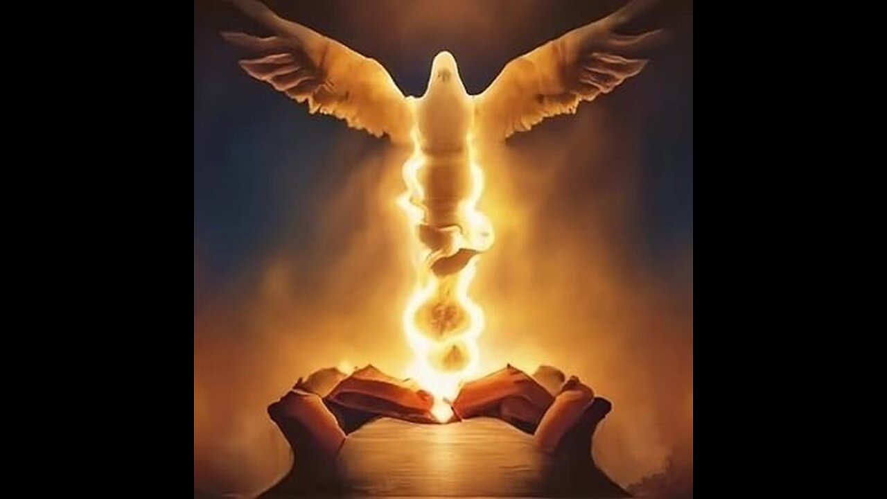 Trust in God, do not worry about your future. Consider the raven.