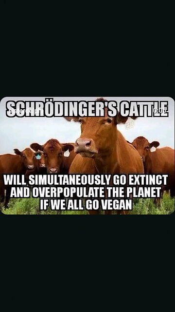 Carnist "Logic" Be Like 🤣