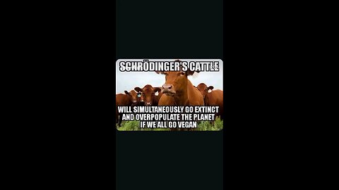 Carnist "Logic" Be Like 🤣