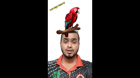 পাখিটি উড়িয়ে দেখান #viral #shorts #challange
