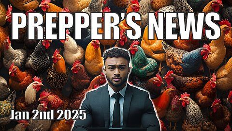 Prepper's News: Bird Flu Pandemic Risks, Election Interference, and Treasury Hack (January 2, 2025)