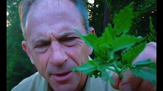Craig Lane Health Alkemy Cooking Tips -