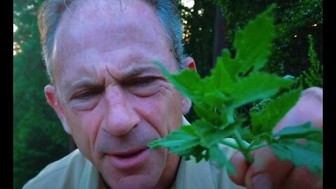 Craig Lane Health Alkemy Cooking Tips -