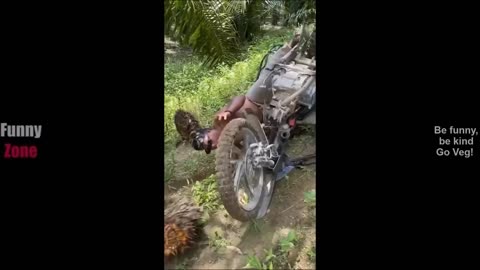 TRY NOT TO LAUGH 😆 Best Funny Videos Compilation 😂😁😆 Memes PART 244 [a3eHtuzFc0E]