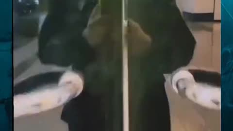 💀 #ghostlytoksa #skinwalker #creepyvideos #haunted #demon #horror | TheHauntingHour