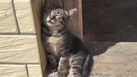 Sleepy..