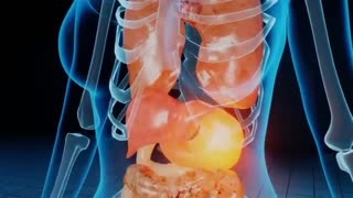 Unhealthy Gut Microbiome Tied to Diabetes, Weight Gain, Insomnia, Bloating & More | Dr. Mandell