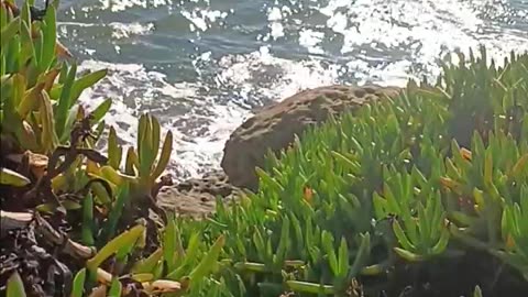 Stepping Thru the PERCEPTUAL SCAFFOLDING of the PRISON PLANET WORK FARM = a rant.