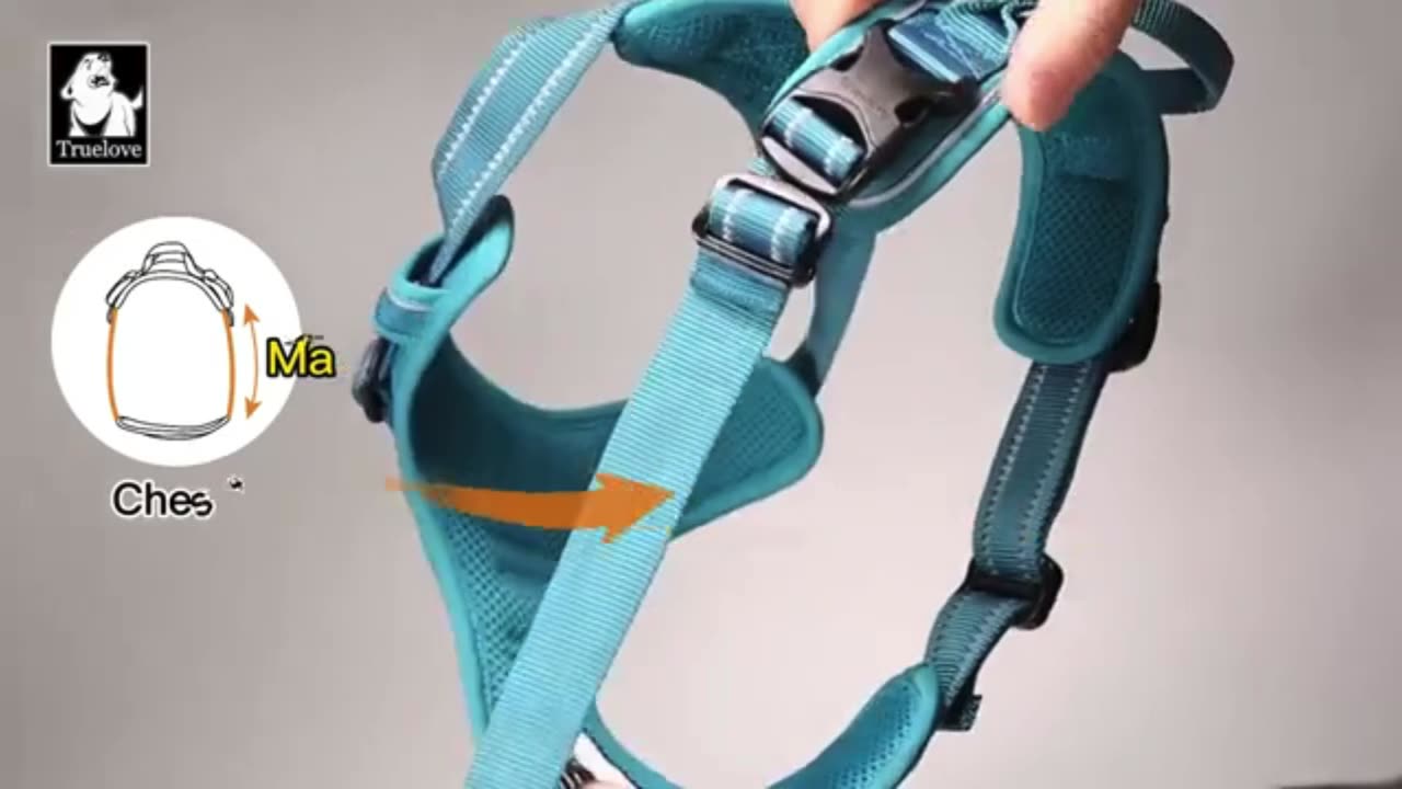 Glow Up Walks! Truelove Harness Safe & Stylish