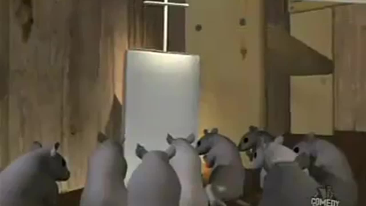 The Holy war of rats