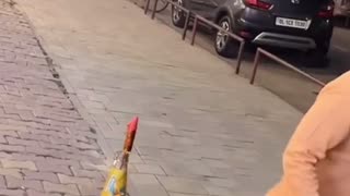😂🤔 What Happens Next is CRAZY! | FunFM
