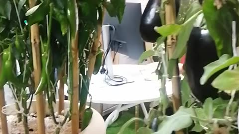 Look at this natural beauty