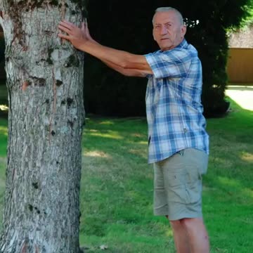 When you touch a tree, billions of negative ions flow into your body — silently