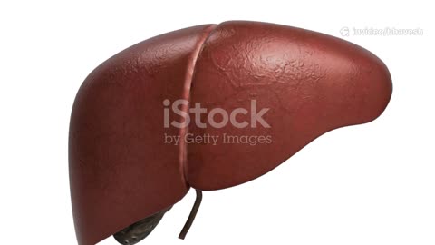 The Silent Night Symptoms of Fatty Liver Disease Revealed!