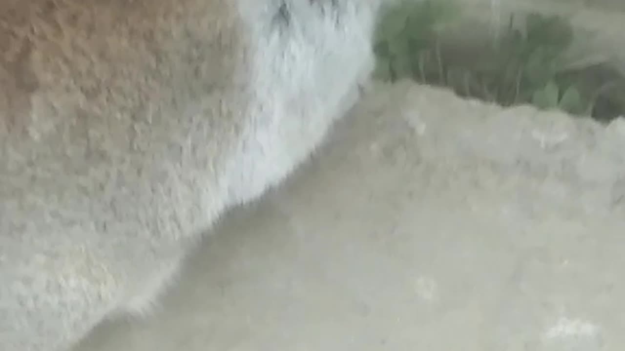 cat is funny fast asleep