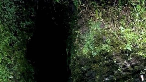 Iwami Ginzan Silver Mine Oda Japan Tour