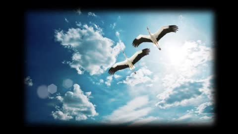 SCHOOL SHOOTING ANALYSED