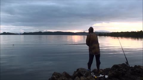 Rock fishing NZ