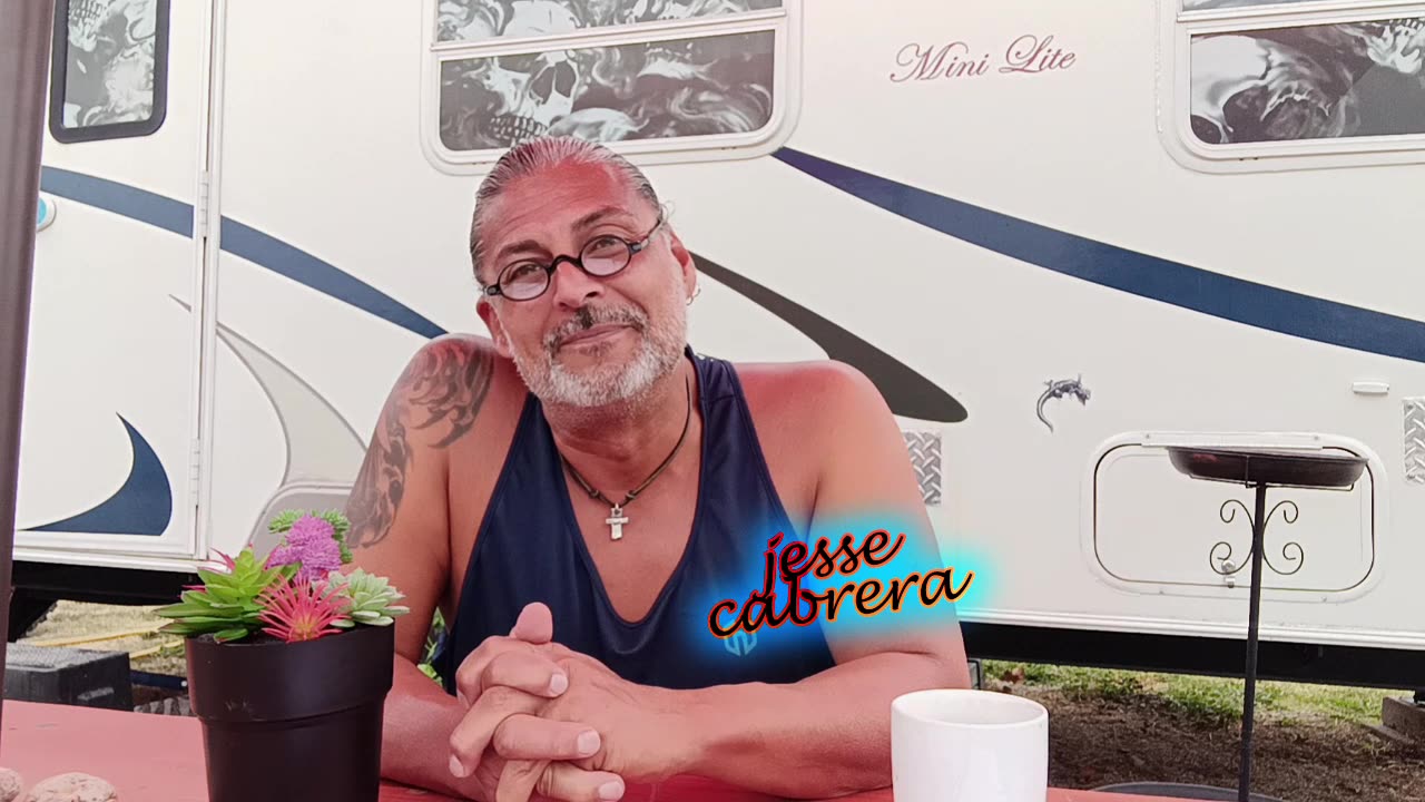 Narcissist Chronicles