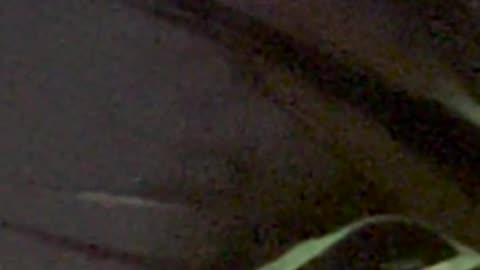 🕉️👽 My SECOND Sighting After Attempting Contact with Alien Life | TheTruthAbove