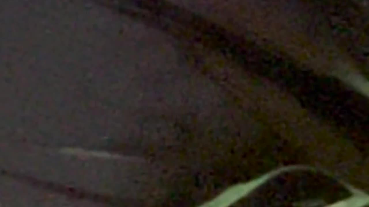 🕉️👽 My SECOND Sighting After Attempting Contact with Alien Life | TheTruthAbove