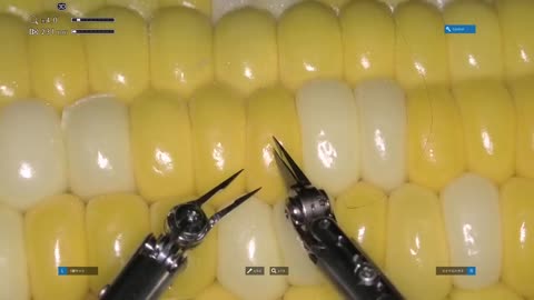 🧠🤖 Watch a Robot Microsurgery Stitch a Corn Kernel! | FeedMyCuriosity