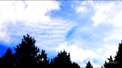Crazy Cloud Cam | Image Set 299